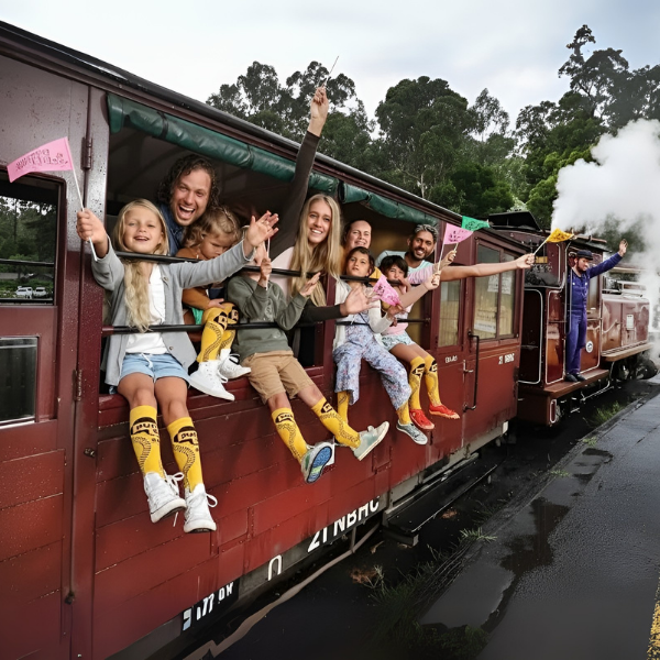 Dandenong Range & Puffing Billy Tour
